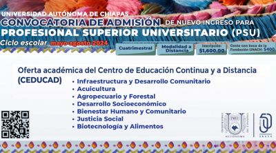Convocatoria Profesional Superior Universitario Mayo - Agosto 2024