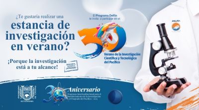 Verano de Investigación DELFIN 2025